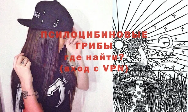 эйфоретик Елизово
