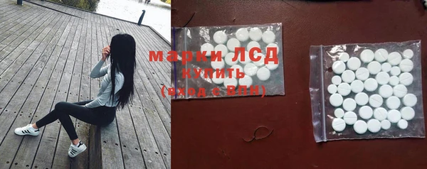 СК Елабуга