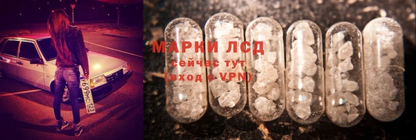 СК Елабуга