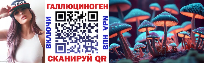 сколько стоит  Ефремов  Псилоцибиновые грибы Psilocybe 